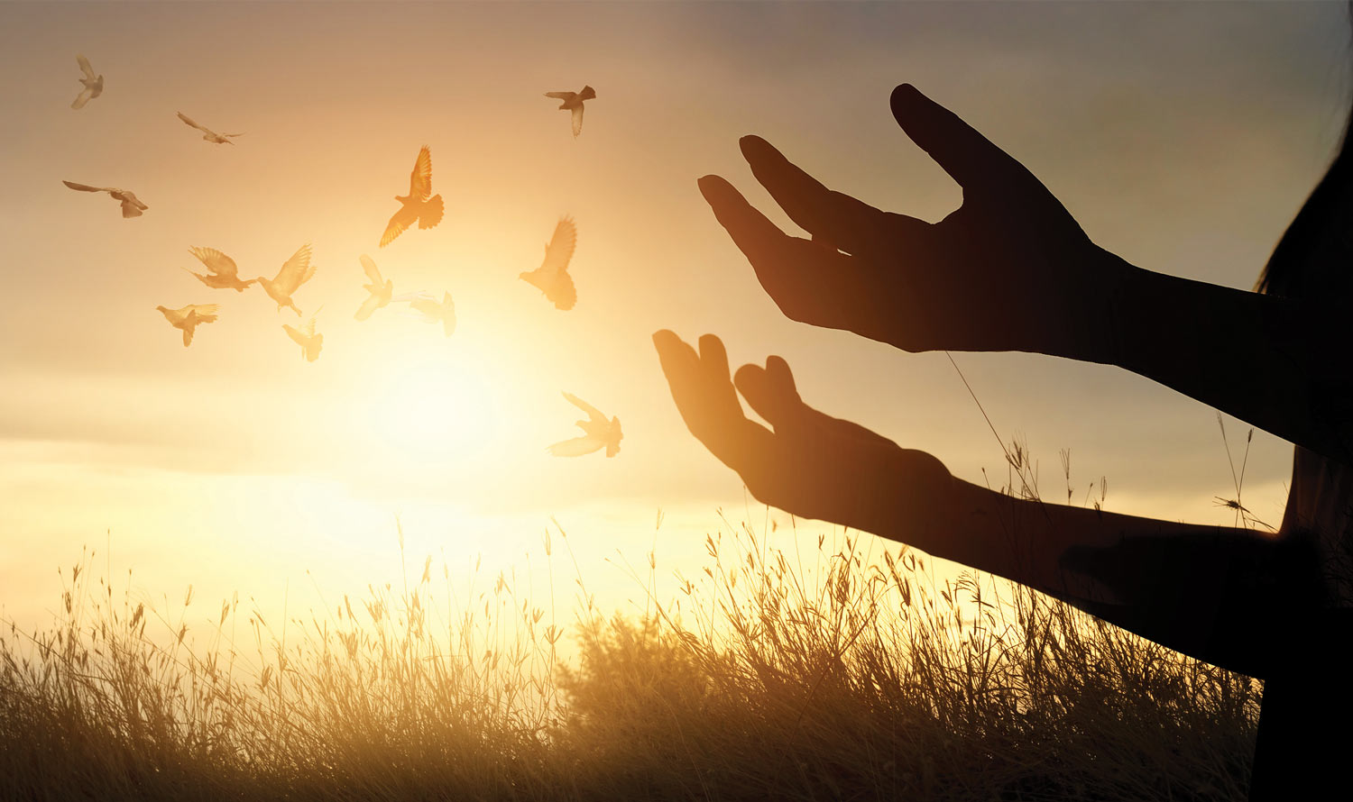 POURQUOI LES PERSONNES SPIRITUELLES ONT-ELLES DES PROBLÈMES ÉCONOMIQUES ET FINANCIERS ? POURQUOI LES PERSONNES SPIRITUELLES ONT-ELLES DES PROBLÈMES ÉCONOMIQUES ET FINANCIERS ?