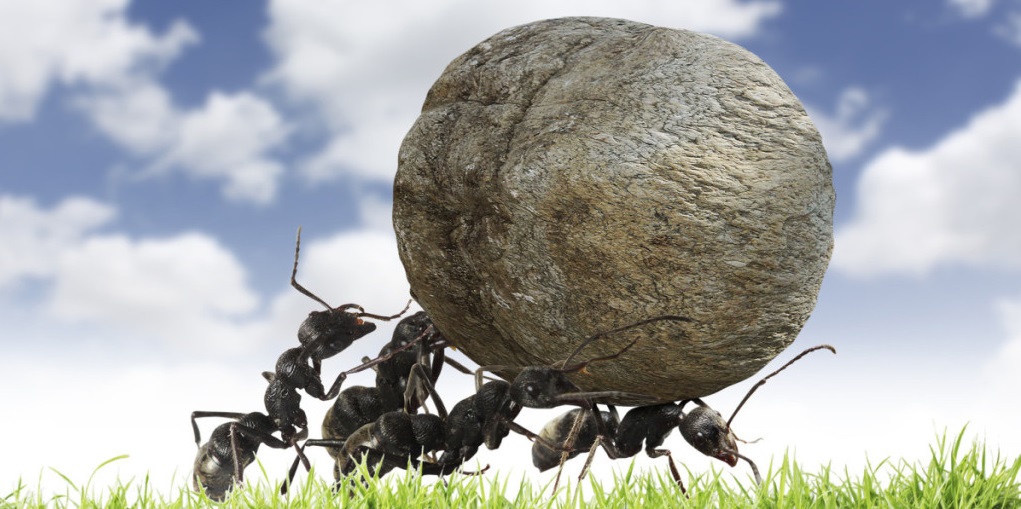 COMMENT AVOIR DU SUCCÈS DANS VOTRE NOUVELLE ENTREPRISE COMMENT AVOIR DU SUCCÈS DANS VOTRE NOUVELLE ENTREPRISE