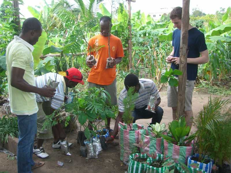 Le traitement des produits de la récolte dans les ménages en Afrique
