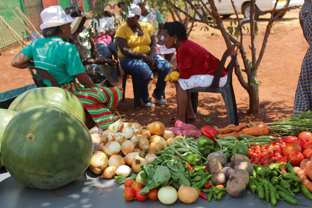 Livraison de fruits et légumes bio à domicile en Afrique Livraison de fruits et légumes bio à domicile en Afrique