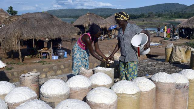 Creation d'unité de transformation du manioc en Gari et en farine panifiable de haute qualité