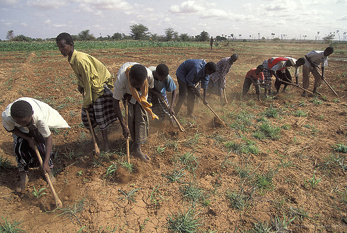 Modernisation de l'agriculture industrielle en Afrique Modernisation de l'agriculture industrielle en Afrique