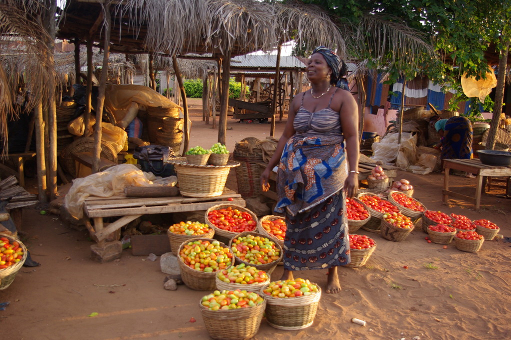 Transformation des produits agro-alimentaires en afrique