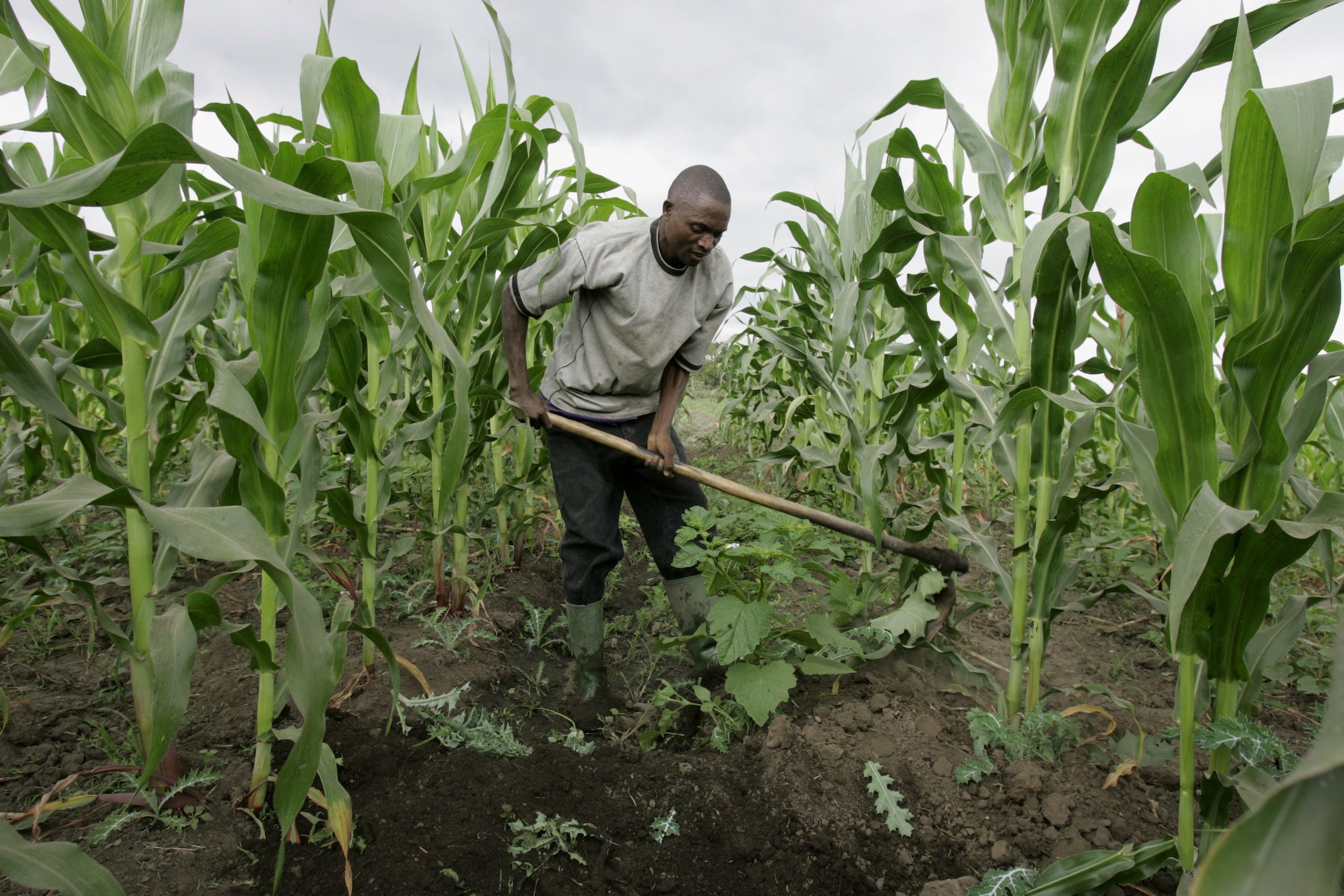 Savoir-faire nécessaire à la génération de richesse en Afrique