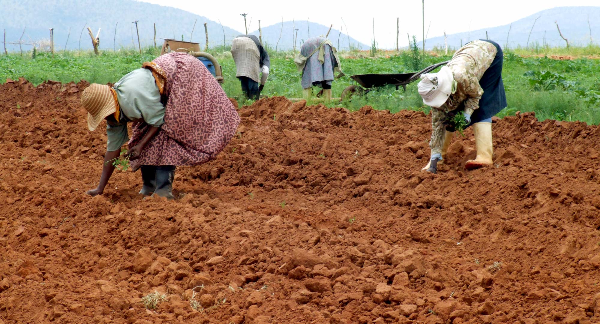 Savoir-faire nécessaire à la génération de richesse en Afrique