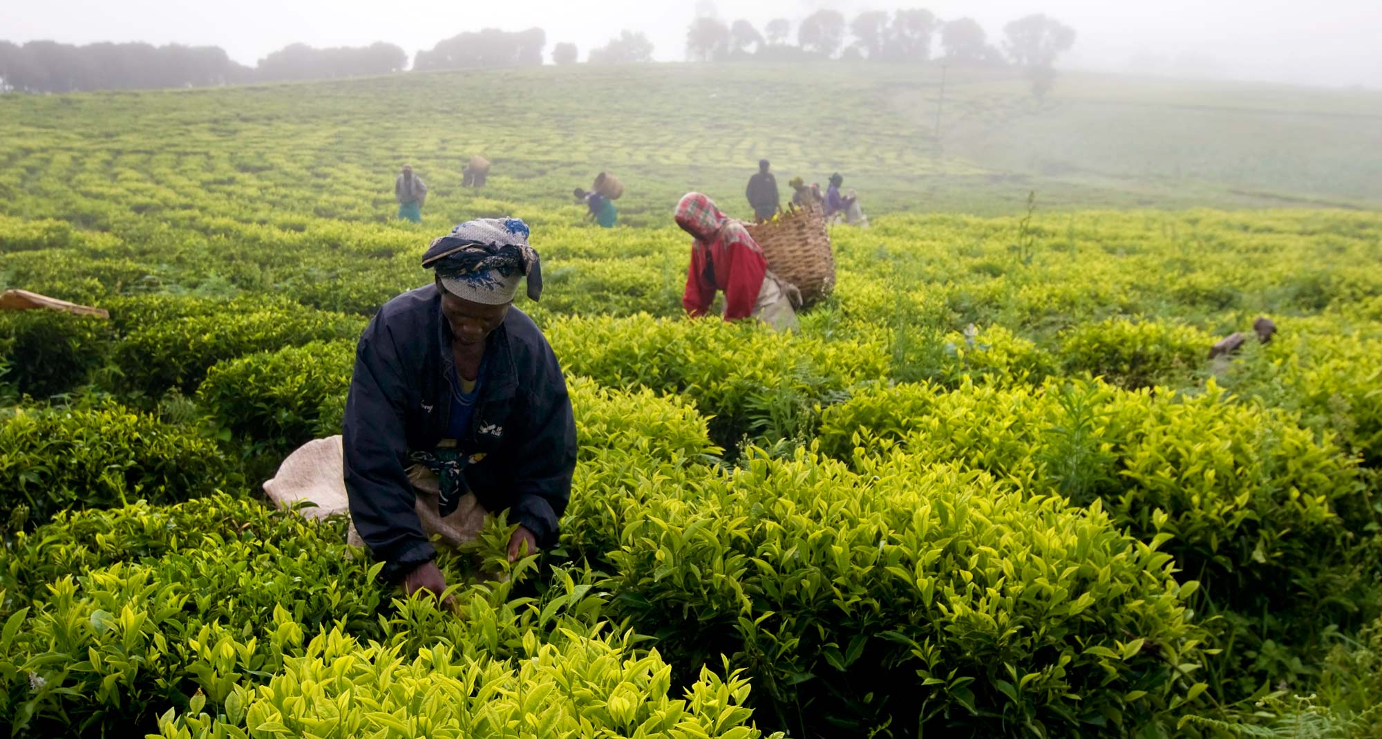 Savoir-faire nécessaire à la génération de richesse en Afrique