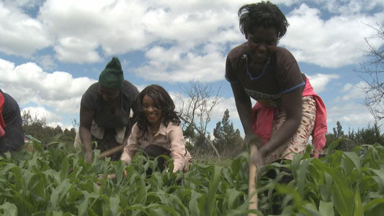 Les principes générateurs de revenus en Afrique