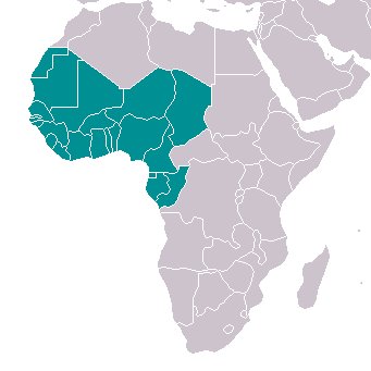 Afrique de l'Ouest Liste d'entreprises