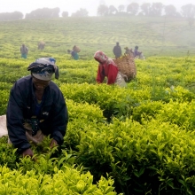 Savoir-faire nécessaire à la génération de richesse en Afrique