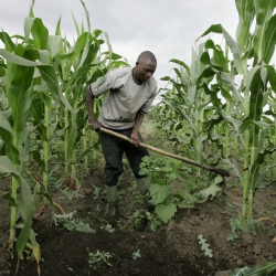 Savoir-faire nécessaire à la génération de richesse en Afrique